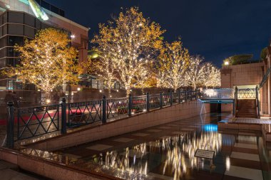 Tokyo, Japonya - 22 Aralık 2018 : Yebisu Garden Place Kış Aydınlatma festivali, şehirdeki ünlü romantik ışık etkinlikleri, güzel manzara, popüler turistik mekanlar, tatil için seyahat destinasyonları