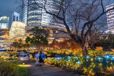 Roppongi Hills kış aydınlatma festivali, Mori Garden Park'ta gece manzarası, güzel manzara, popüler turistik mekanlar, tatil için seyahat yerleri, Tokyo şehrinde ünlü etkinlikler, Japonya