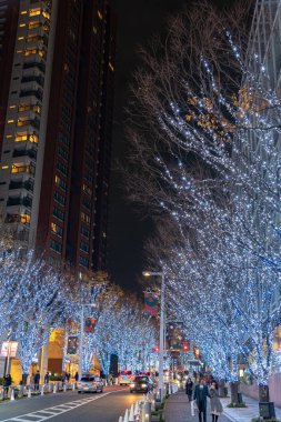 Tokyo, Japonya - 22 Aralık 2018 : Roppongi Hills kış festivali ( Keyakizaka Galaxy Illuminations ), şehrin ünlü etkinlikleri, güzel manzara, popüler turistik mekanlar, tatil için seyahat yerleri