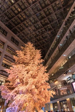 Tokyo, Japonya - 22 Aralık 2018 : White Kitte kış aydınlatma festivali, şehirdeki ünlü romantik ışık etkinlikleri, güzel manzara, popüler turistik mekanlar, tatil için seyahat yerleri
