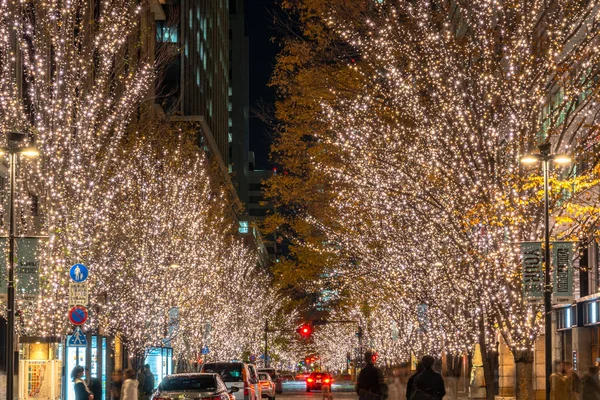 Tokyo, Giappone - 19 dicembre 2018: Tokyo Marunouchi Winter Illumination Festival, famosi eventi romantici in città, splendida vista, attrazioni turistiche popolari, destinazioni di viaggio per le vacanze — Foto Stock