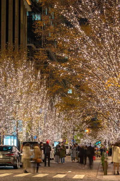 Tokyo, Giappone - 19 dicembre 2018: Tokyo Marunouchi Winter Illumination Festival, famosi eventi romantici in città, splendida vista, attrazioni turistiche popolari, destinazioni di viaggio per le vacanze — Foto Stock