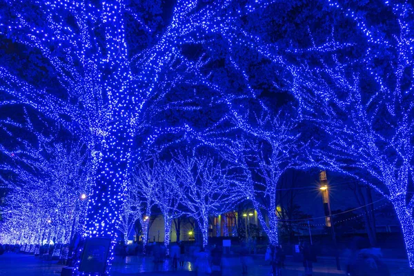 Shibuya Blue Cave festival d'illumination hivernale, belle vue, attractions touristiques populaires, destinations de vacances, célèbres événements d'illumination romantique à Tokyo, Japon. Traduction : "Grotte bleue " — Photo