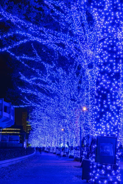 Shibuya Blue Cave festival illuminazione invernale, bella vista, attrazioni turistiche popolari, destinazioni di viaggio per le vacanze, famosi eventi romantici illuminare a Tokyo, Giappone. Traduzione: "Grotta Blu " — Foto Stock