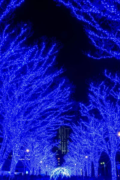 Shibuya Blue Cave festival di illuminazione invernale, bella vista, attrazioni turistiche popolari, destinazioni turistiche per le vacanze, famosi eventi romantici illuminati nella città di Tokyo, Giappone — Foto Stock