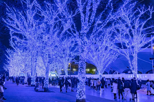 Tokyo, Japan - Dec 21 2018 : Shibuya Blue Cave winter illumination festival, famous romantic light up events in the city, beautiful view, popular tourist attractions, travel destinations for holiday — Stock Photo, Image