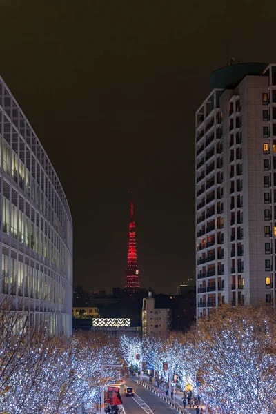 Roppongi Hills winter illumination festival ( Keyakizaka Galaxy Illuminations ), beautiful view, popular tourist attractions, travel destinations for holiday, famous events in Tokyo city, Japan