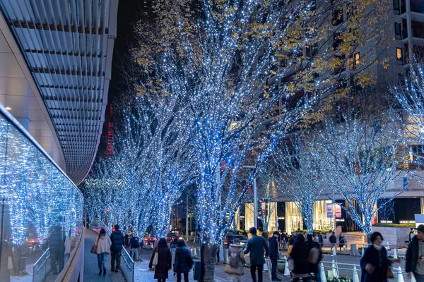Tokyo, japan - 22. Dezember 2018: roppongi hills winter festival (keyakizaka galaxie illuminierungen), berühmte veranstaltungen in der stadt, schöne aussicht, beliebte touristenattraktionen, reiseziele für den urlaub — Stockfoto