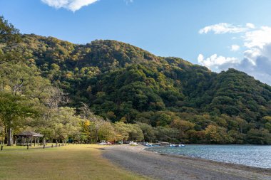 Güneşli bir günde Towada Gölü 'nün güzel sonbahar yeşillikleri. Göl kenarından manzara, berrak gökyüzü, mavi su ve arka planda beyaz bulut. Towada Hachimantai Ulusal Parkı, Aomori, Japonya