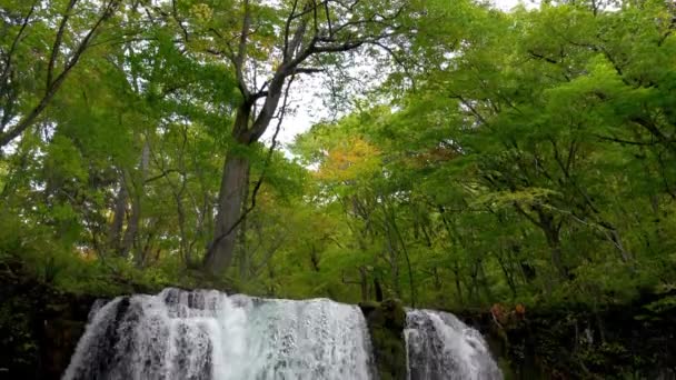 秋の晴れた日には奥入瀬の滝 美しい紅葉のシーン 青森県十和田八幡平国立公園内の森 流れる川 落ち葉 苔むした岩 — ストック動画