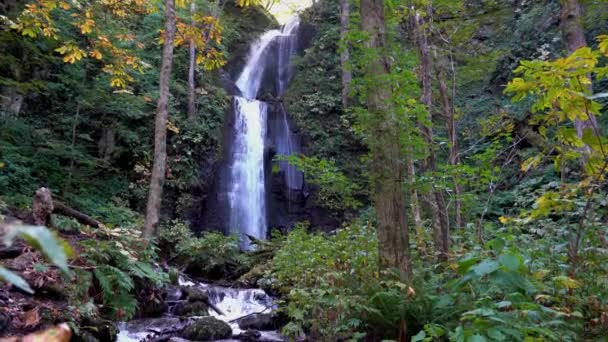 Kumoi Taki Falls Oirase Patak Ősszel Napsütéses Napon Gyönyörű Őszi — Stock videók