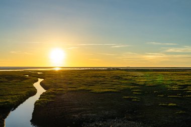 Gün batımında Gaomei Bataklıkları. Deniz kıyısı, nehir, pembe bulutlar, güzel bir manzara..