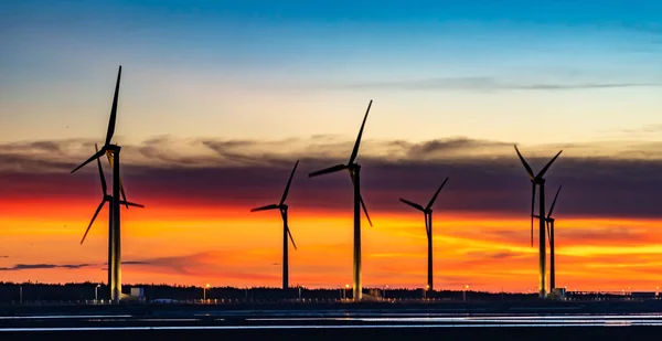 Wind turbines or wind energy converter in sunset time with rosy clouds in background — Stock Photo, Image