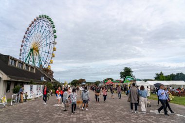 Ibaraki Eyaleti, Japonya - 20, 2019 Hitachi Sahil Parkı içinde.
