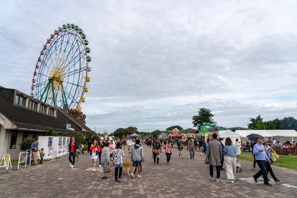 Prefettura di Ibaraki, Giappone - 20 ottobre 2019: All'interno del parco marino Hitachi. — Foto Stock