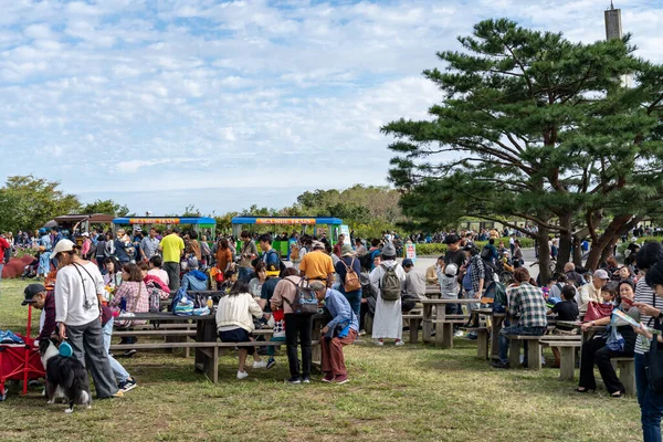Prefettura di Ibaraki, Giappone - 20 ottobre 2019: I turisti riposano nel parco balneare Hitachi nel carnevale rosso di kochia. — Foto Stock