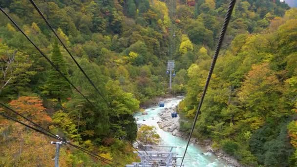 Вид Горы Долины Драгондолы Naeba Tashiro Gondola Сезон Осенней Листвы — стоковое видео