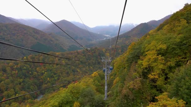 Widok Góry Doliny Dragondoli Naeba Tashiro Gondola Sezonie Jesiennym Liści — Wideo stockowe