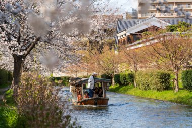 Kyoto, Japonya - 3 Nisan 2025: JR Nijo İstasyonu girişi ilkbaharda çiçek açan güzel kiraz çiçekleriyle, toplu taşıma manzaralı bir şehir manzarası.