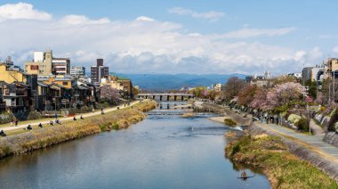 Kyoto, Japonya - 6 Nisan 2025: Kamo Nehri kıyıları boyunca geleneksel evler ve kiraz çiçekleri, güneşli bir bahar gününde dinlenen insanlar.