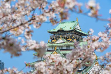 İkonik Osaka Kalesi Kulesi, ünlü bir tarihi eser, ilkbaharda açan kiraz çiçeklerinden oluşan bir çerçevenin içinden görülüyor. Osaka, Japonya.