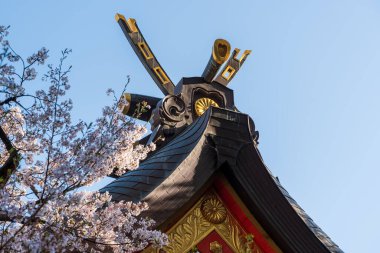 Ikuta Tapınağı 'nın ana çatısı ilkbaharda çiçek açan kiraz çiçekleriyle çerçevelenmiş, Kobe, Hyogo, Japonya' da tarihi bir yer..