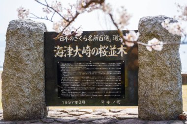 Kaizu Osaki kiraz çiçeği tabelaları, tahta tahtalar, bilgi panelleri, anıtlar. Takashima, Shiga, Japonya.