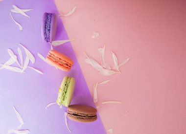Dört Fransız tatlı macarons çiçek yaprakları ve metin alanı ile çok renkli arka plan üzerinde.
