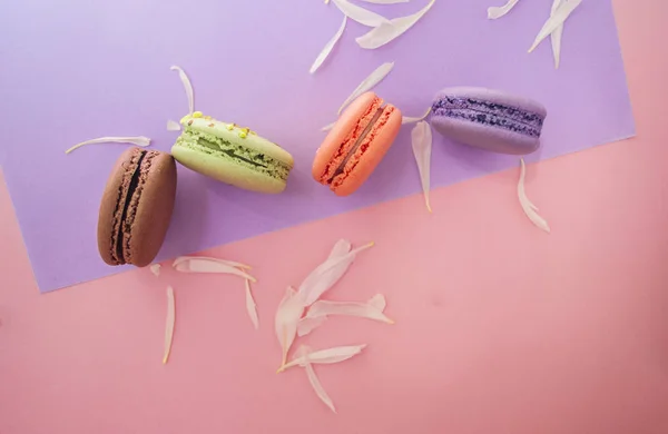 Quatre Délicieux Macarons Dessert Français Sur Fond Multicolore Avec Pétales — Photo