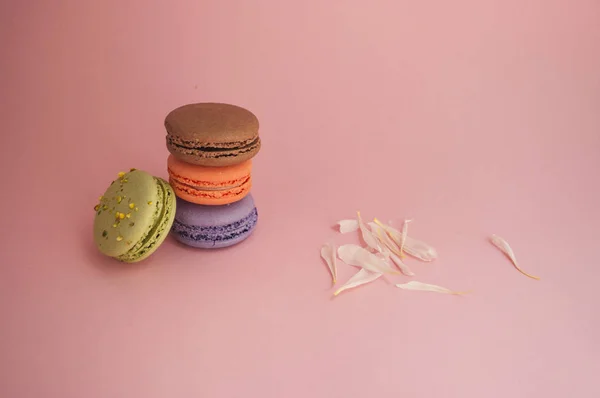 Quatre Délicieux Macarons Dessert Français Sur Fond Multicolore Avec Pétales — Photo