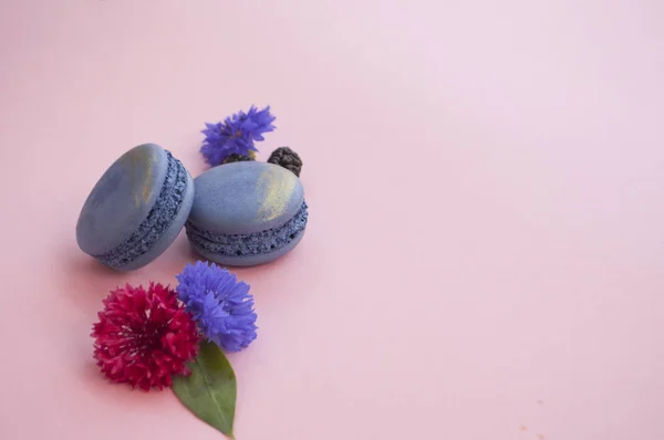 Macarons, fleurs et baies sur fond rose . — Photo