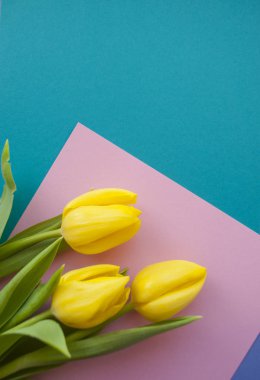 Lale boquet mavi ve pastel pembe arka plan boşaltmak ile üzerinde düz yatıyordu. Düz yatıyordu stili.