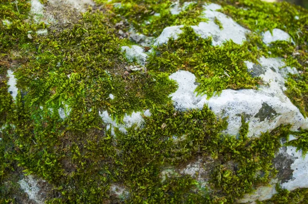 Fundo de pedra natural . — Fotografia de Stock