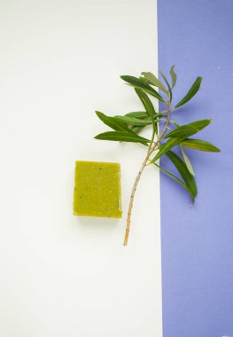 Bir zeytin dalı düz, el yapımı sabunlar ve mor ve beyaz arka planda deniz kabukları..