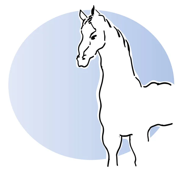 Ilustración Caballo Blanco Pie Con Fondo Azul —  Fotos de Stock