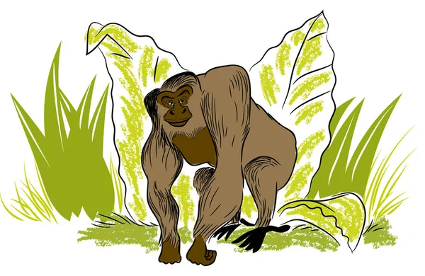 Grande Gorilla Illustrazione Foglie Grande Gorilla Piedi Nella Giungla — Foto Stock