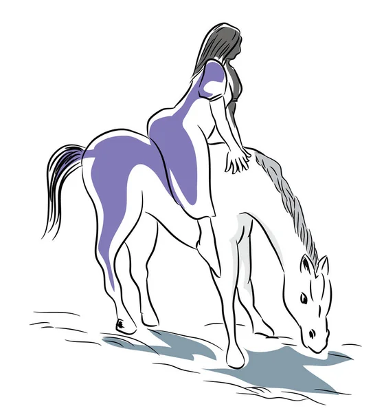 白い馬と分離された白い馬の白い背景の上に座っている女性の Woman Illustration — ストック写真
