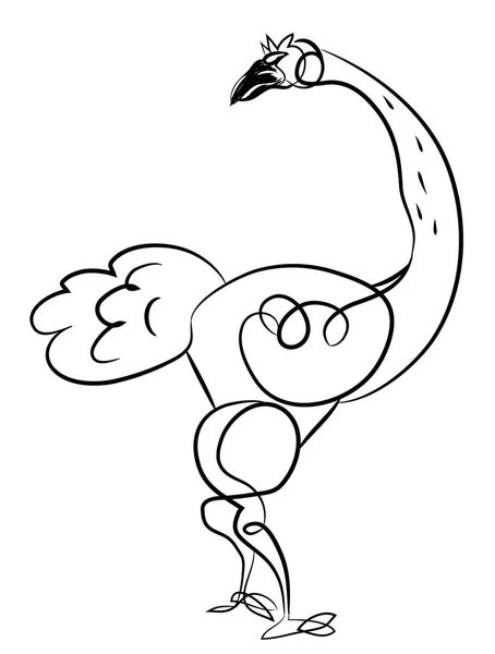Ostrich Simple Línea Dibujo Avestruz —  Fotos de Stock