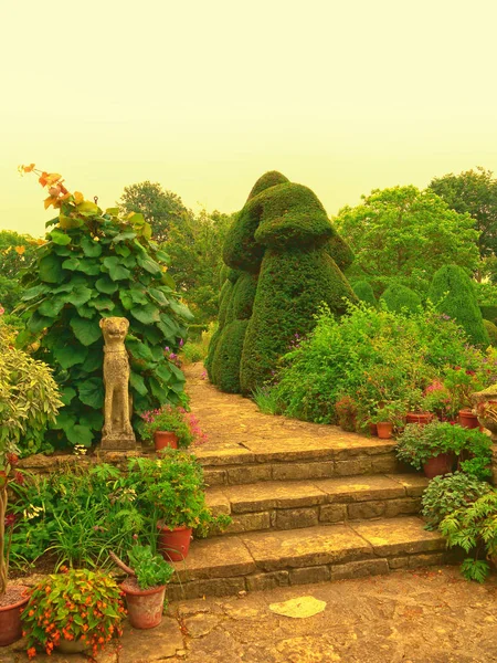 イングランドのコッツウォルズ地方の美しい美しい美しい庭園の中で 混ざり合った縁の良い国境 — ストック写真
