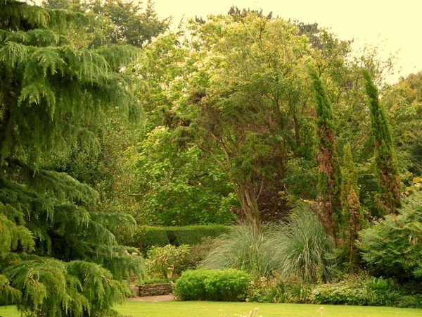 Uma Fronteira Herbácea Mista Belo Jardim Paisagístico Região Cotswolds Inglaterra — Fotografia de Stock