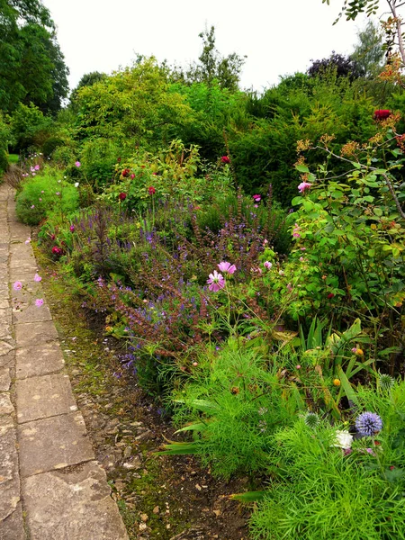 Uma Fronteira Herbácea Mista Belo Jardim Paisagístico Região Cotswolds Inglaterra — Fotografia de Stock
