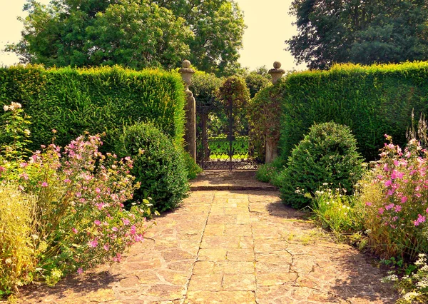 Ngiltere Nin Cotswolds Bölgesinde Güzel Peyzajlı Bir Bahçede Karışık Otlu - Stok İmaj