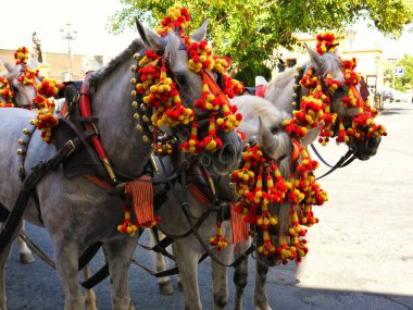 Sevilla İspanya kentinde düzenlenen yıllık Nisan Bahar Fuarı durring, parlak dekore edilmiş atlar.