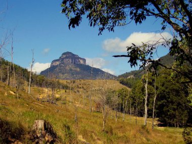 Katmanlı Mount Lindesay uzak manzarası olan Güney Doğu Queensland Avustralya'da bulunan bir yanardağ