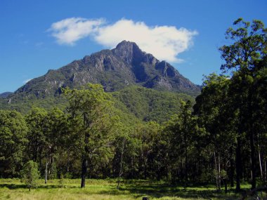 Mount Barney doğru açık otlatma arazi üzerinde seyir, hangi vahşi Gondwana yağmur ormanları tarafından Queensland, Avustralya, bir dünya mirası alanı çevrilidir. 