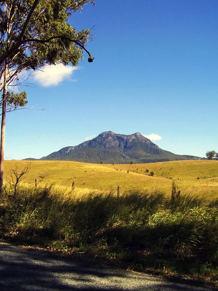Mount Barney doğru açık otlatma arazi üzerinde seyir, hangi vahşi Gondwana yağmur ormanları tarafından Queensland, Avustralya, bir dünya mirası alanı çevrilidir. 
