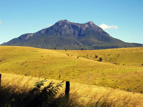Mount Barney doğru açık otlatma arazi üzerinde seyir, hangi vahşi Gondwana yağmur ormanları tarafından Queensland, Avustralya, bir dünya mirası alanı çevrilidir. 