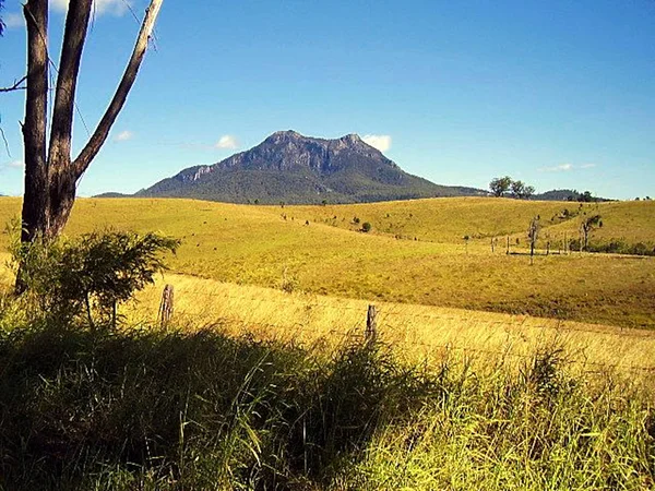 Looking across open grazing land towards  Mount Barney,which is surrounded by the wild Gondwana Rainforests of Queensland, Australia, a World Heritage Area.