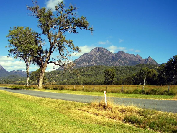 Ser Över Öppen Betesmark Mot Mount Barney Som Omges Vilda — Stockfoto