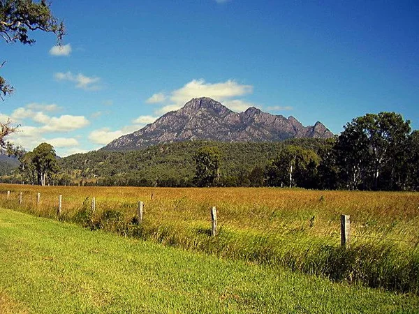 Ser Över Öppen Betesmark Mot Mount Barney Som Omges Vilda — Stockfoto